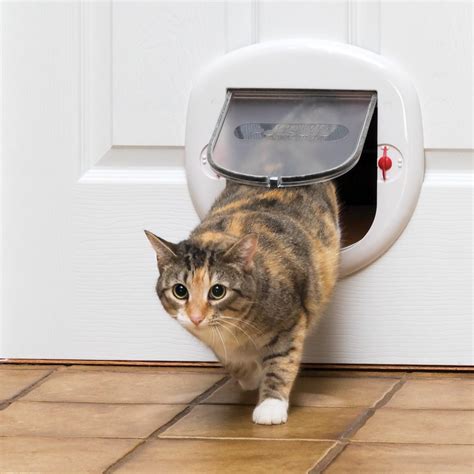 petsafe large cat door|petsafe large automatic door.